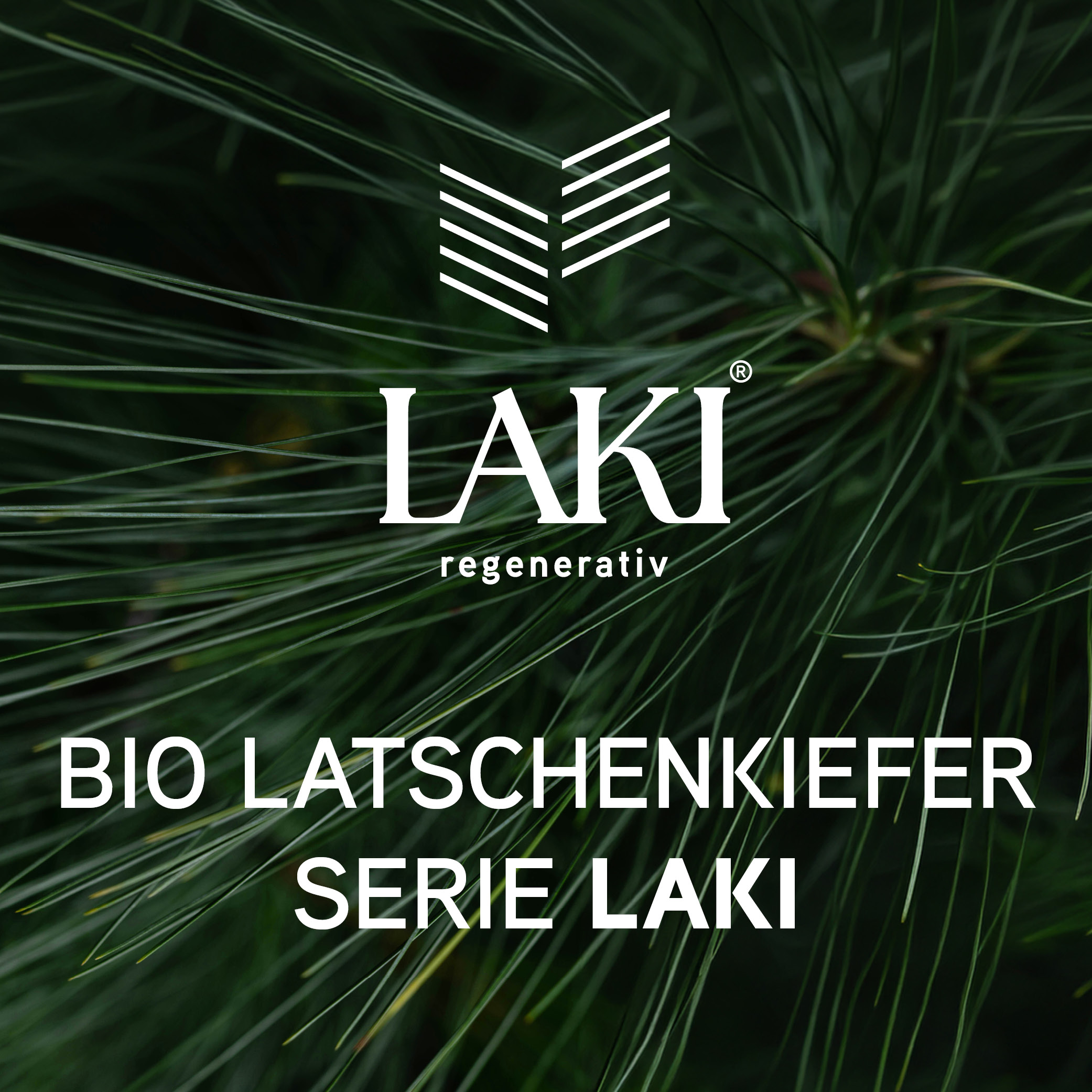 LAKI
